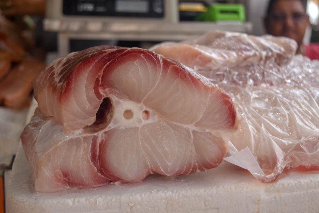 Mercado dos Peixes de Fortaleza, Av. Beira Mar, 3479 - Meireles, Fortaleza - CE, 60165-121