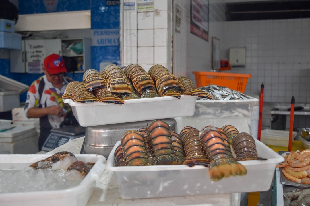 Mercado dos Peixes de Fortaleza, Av. Beira Mar, 3479 - Meireles, Fortaleza - CE, 60165-121