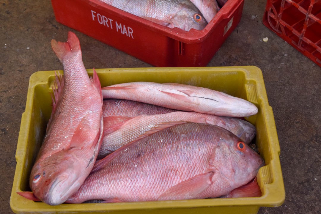 Mercado dos Peixes de Fortaleza, Av. Beira Mar, 3479 - Meireles, Fortaleza - CE, 60165-121
