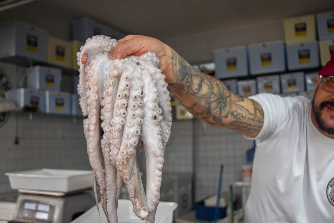Mercado dos Peixes de Fortaleza, Av. Beira Mar, 3479 - Meireles, Fortaleza - CE, 60165-121