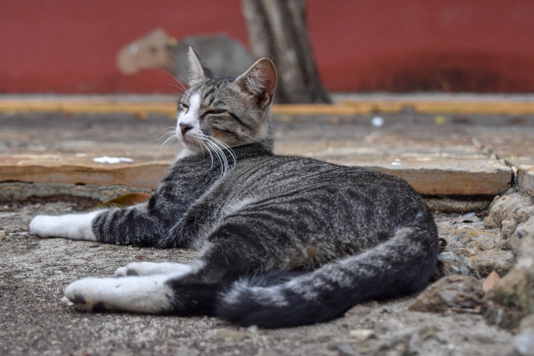 Centro de Turismo do Ceará (Emcetur), R. Sen. Pompeu, 350 - Centro, Fortaleza - CE, 60025-000