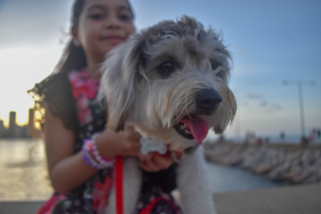 Espigão do Náutico, Espigão Praia Po Náutico - Meireles, Fortaleza - CE, 60165-121