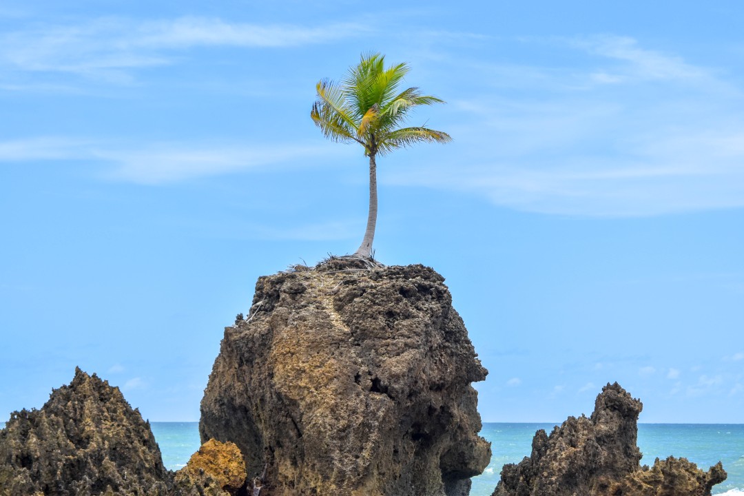 Praia de Tambaba, Conde - State of Paraíba, 58322-000
