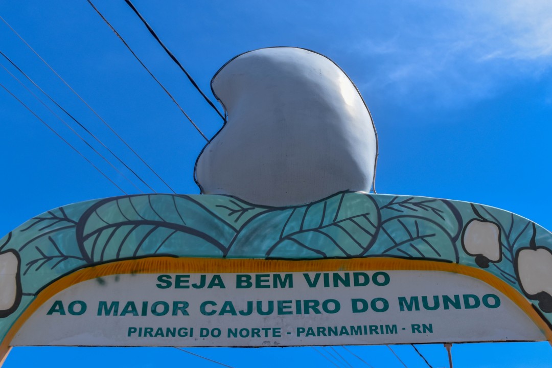 Maior cajueiro do Mundo, Pirangi do Norte, Parnamirim - State of Rio Grande do Norte