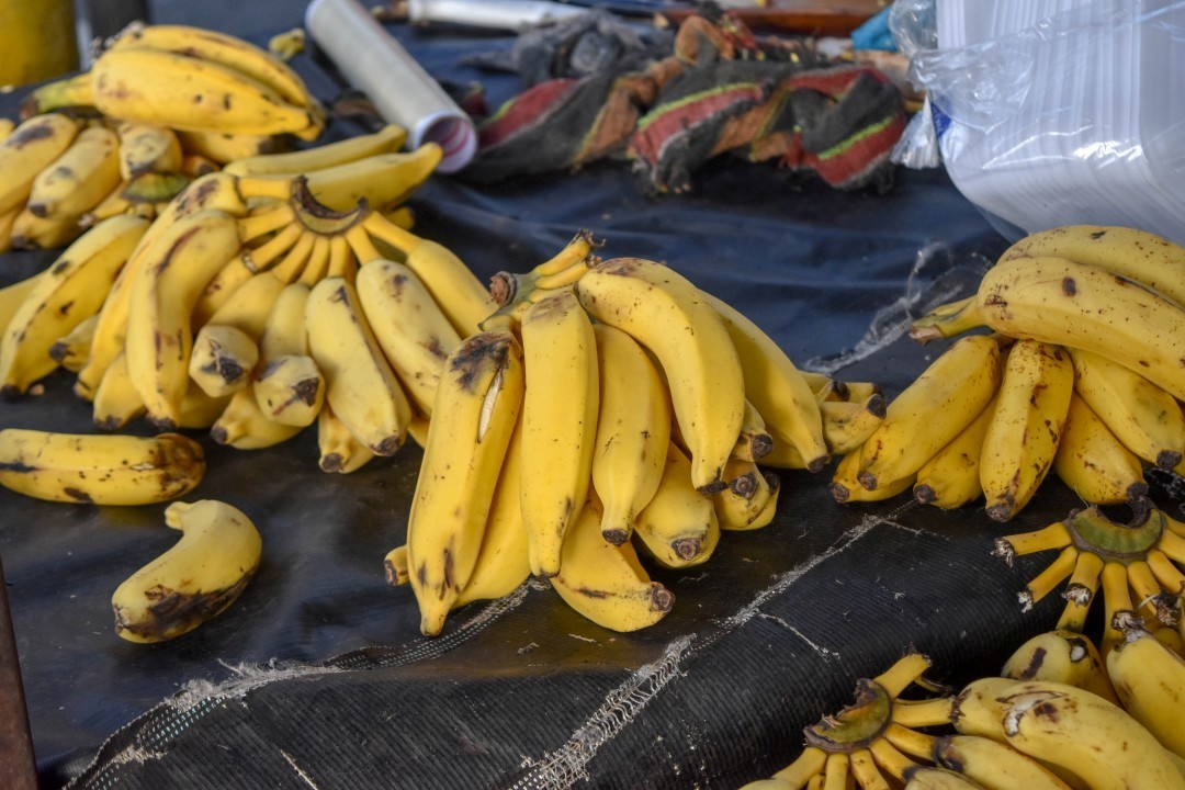 Piedade, Centro, Salvador - BA, 40115-026