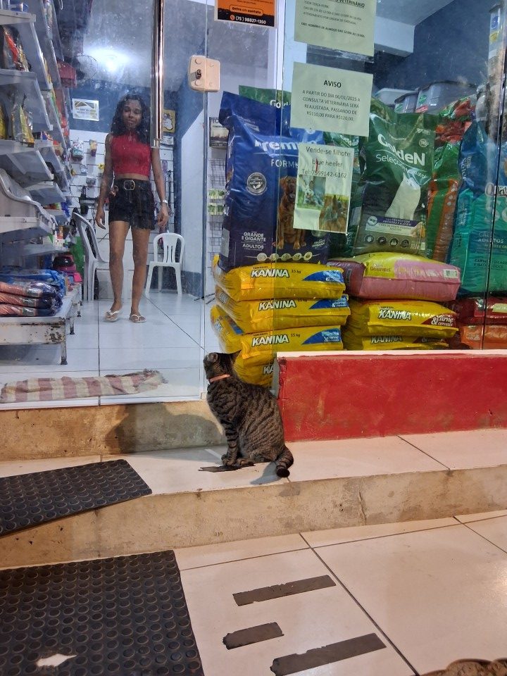 Rua Caminho da Lagoa, Cairu, Bahia 45420-000