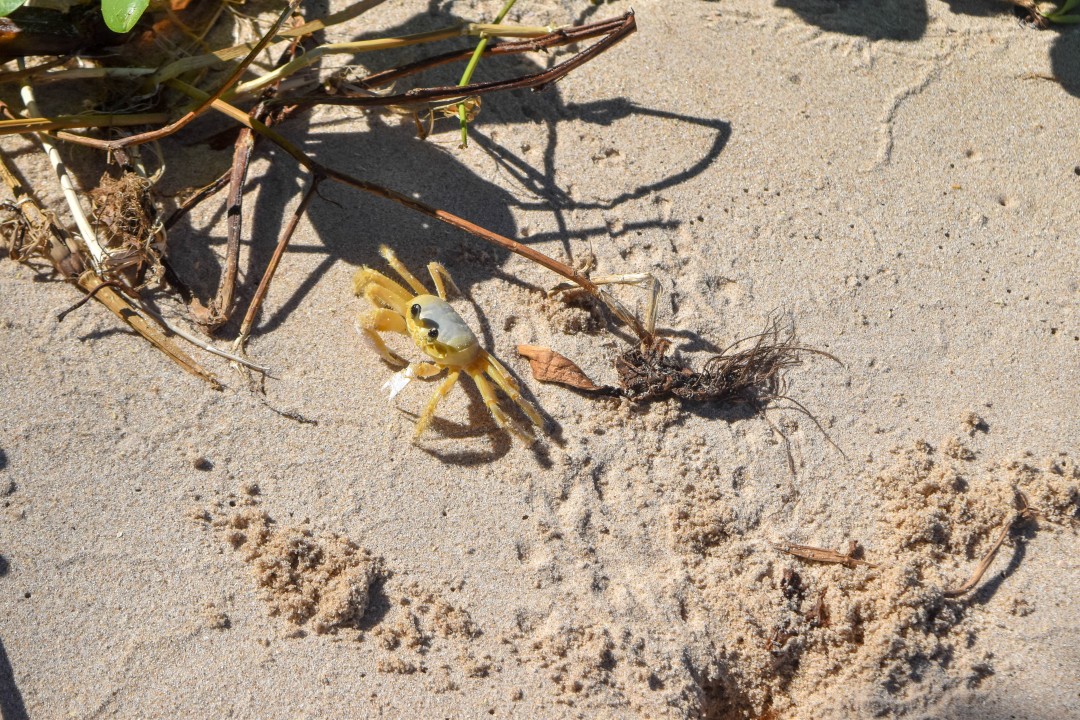 4a Praia, Morro de São Paulo, State of Bahia, 45420-000