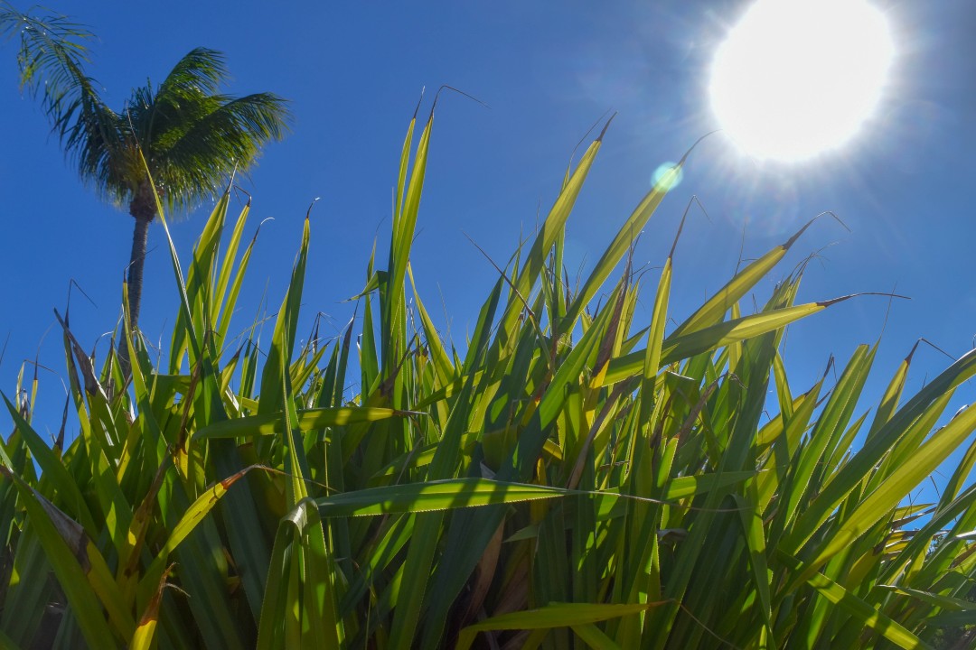 4a Praia, Morro de São Paulo, State of Bahia, 45420-000