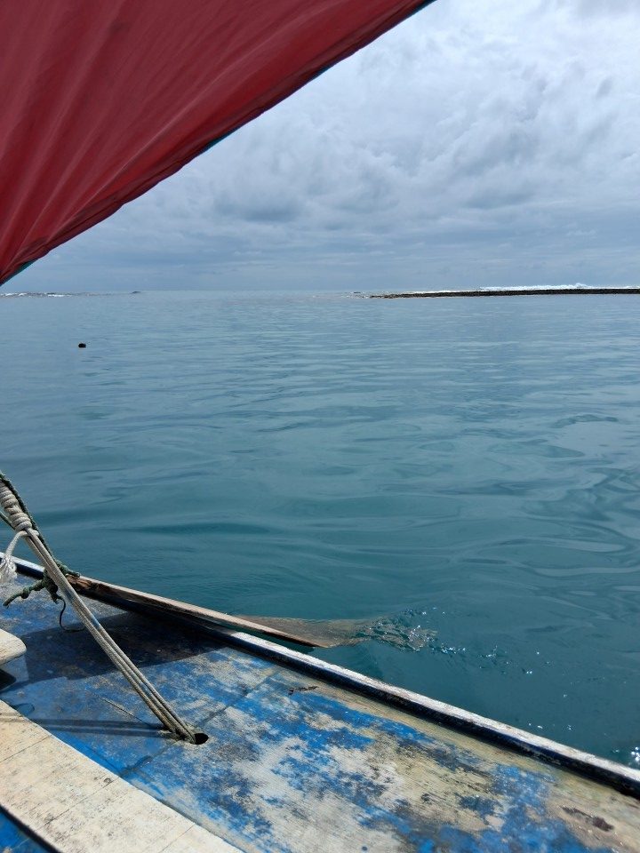 Piscina Natural de Observação, Porto de Galinhas, Ipojuca - State of Pernambuco, 55590-000