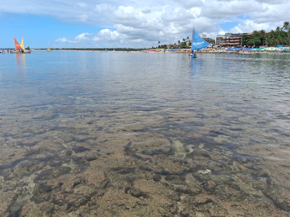 Piscina Natural de Observação, Porto de Galinhas, Ipojuca - State of Pernambuco, 55590-000