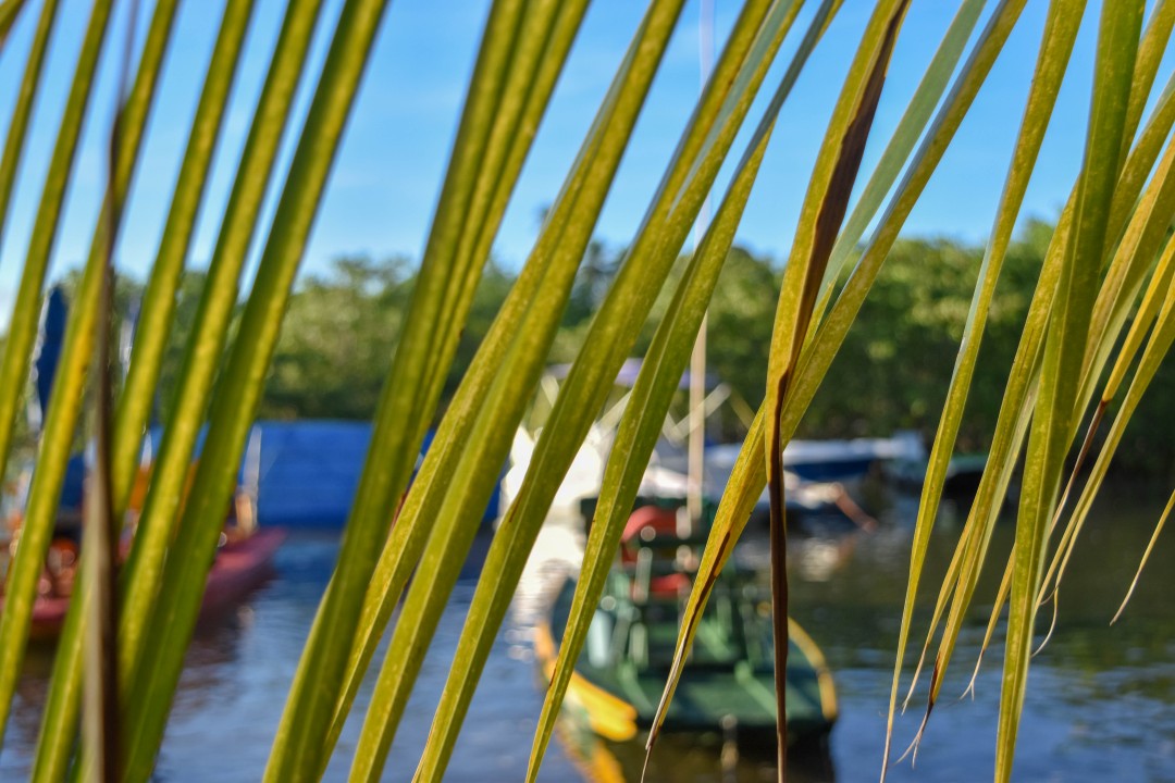 Pontal de Maracaípe, Al. Pontal de Maracaípe - Maracaipe, Ipojuca - PE, 55590-000