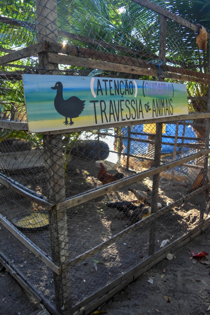 Pontal de Maracaípe, Al. Pontal de Maracaípe - Maracaipe, Ipojuca - PE, 55590-000