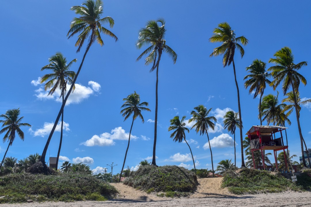 Praia de Porto de Galinhas, R. dos Navegantes, s/n - Porto de Galinhas, Ipojuca - PE, 55590-000