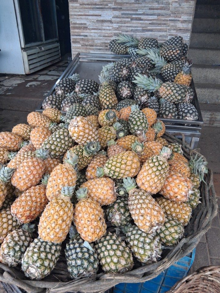 R. Esperança - Porto de Galinhas, Ipojuca - PE, 55590-000