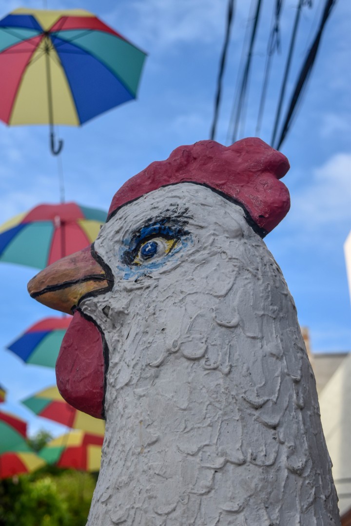 Guarda-chuvas Porto de galinha, R. das Piscinas Naturais - Porto de Galinhas, Ipojuca - PE, 55590-000