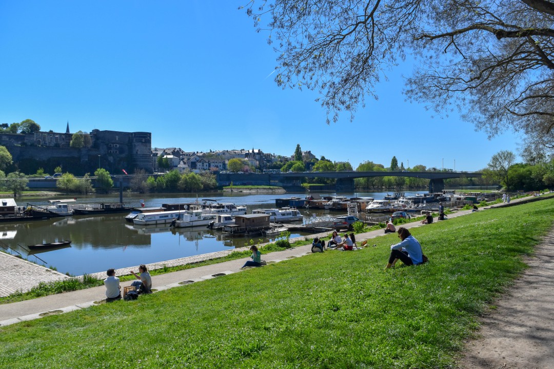 12 Quai des Carmes, 49100 Angers