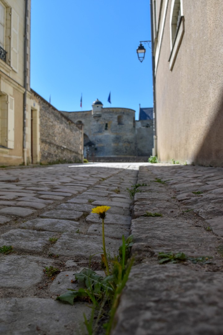 Prom. du Bout du Monde, 49100 Angers