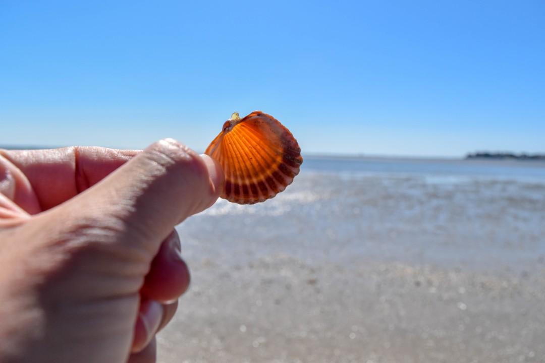 Plage de La Baule, 44500 La Baule-Escoublac