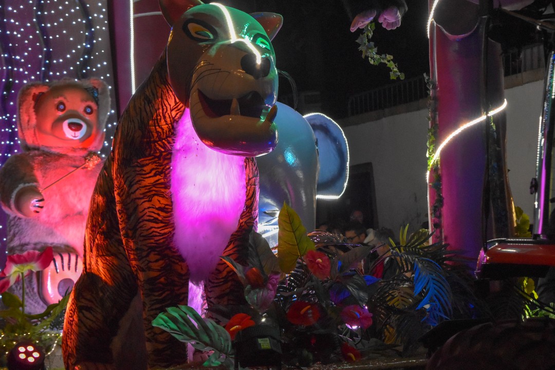 Carnaval de nuit 2026, 6 Rue Sully, 44000 Nantes