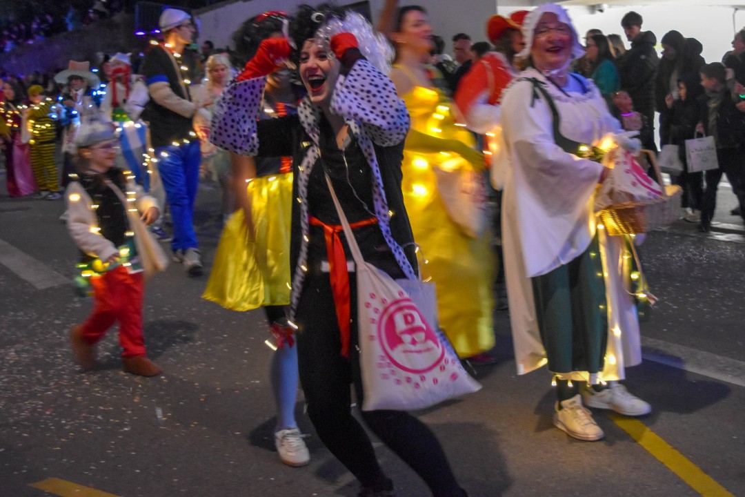 Carnaval de nuit 2026, 6 Rue Sully, 44000 Nantes
