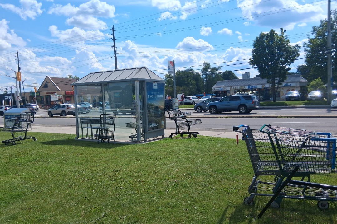 Merivale Road, Ottawa, 2026