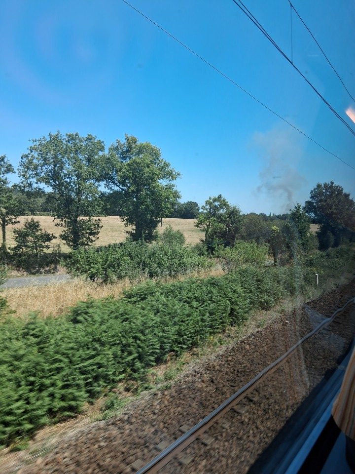 Forest fire, La Baule, summer 2026