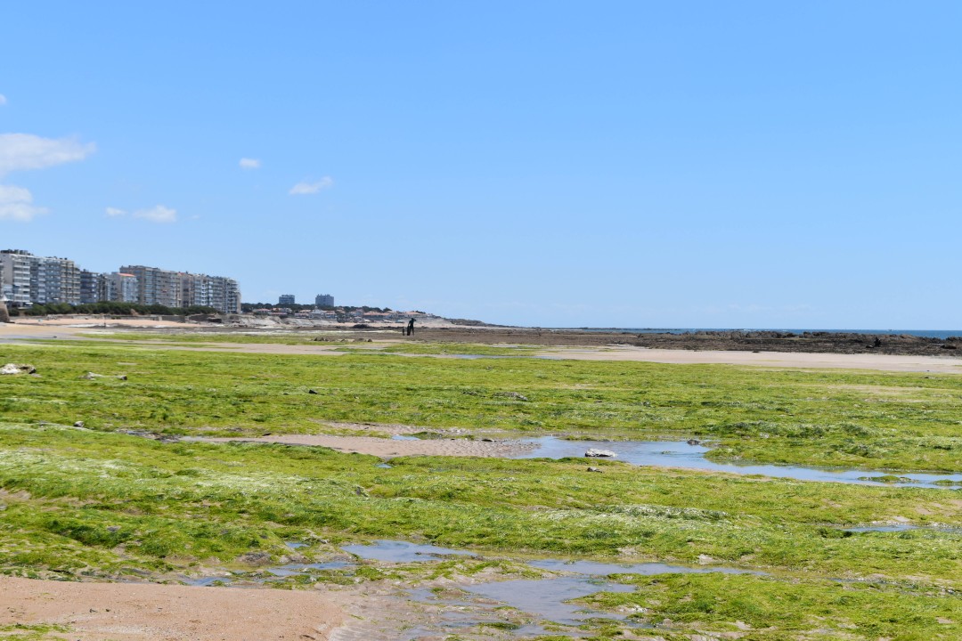 La grande plage, 85100 Les Sables-d'Olonne