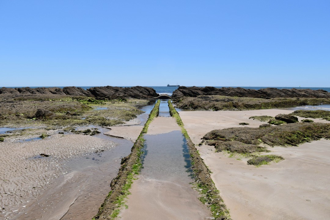La grande plage, 85100 Les Sables-d'Olonne