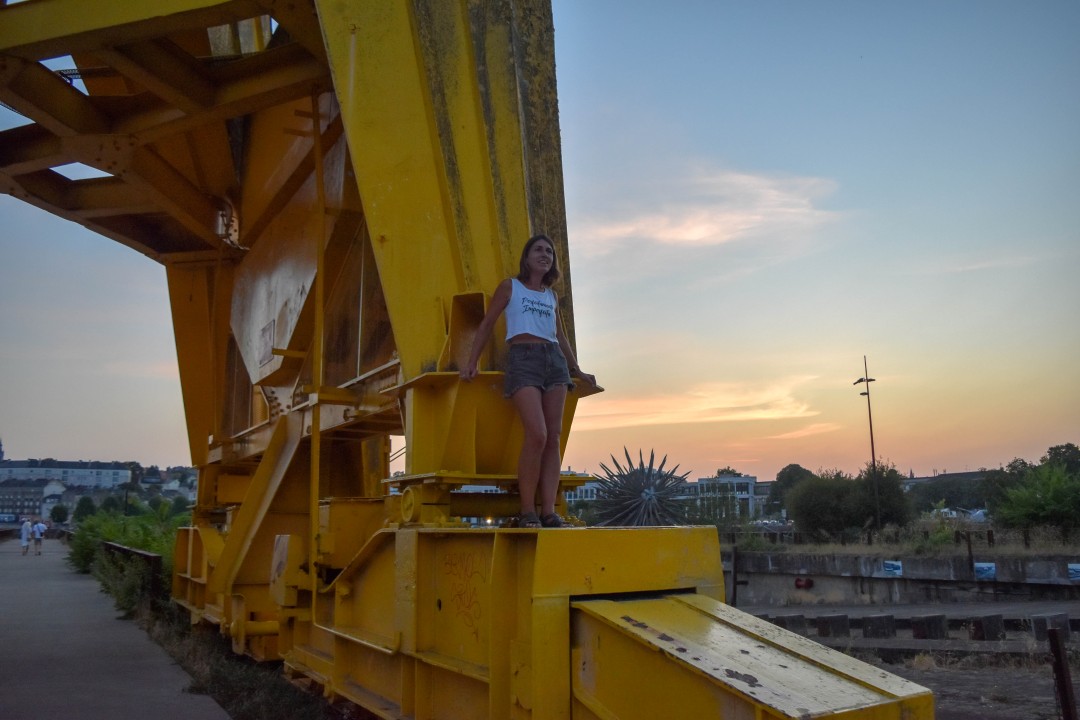 Grue Titan Jaune, 44200 Nantes