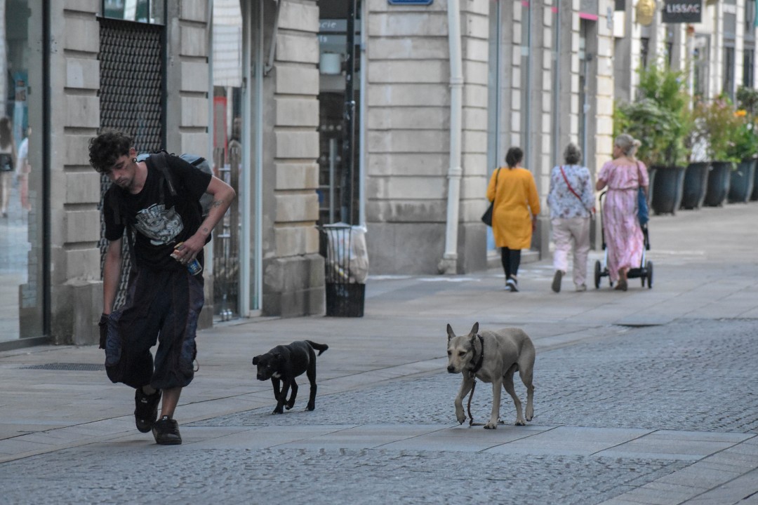 Rue d'Orléans, 44000 Nantes