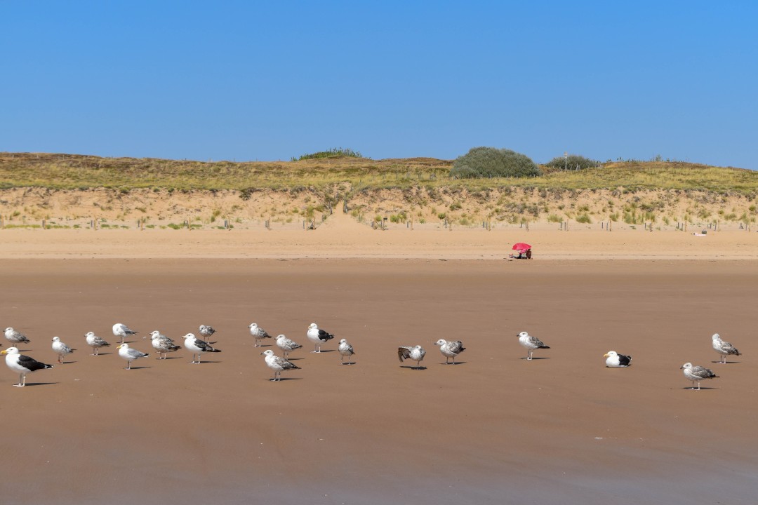 Grande plage, 85800 Saint-Gilles-Croix-de-Vie