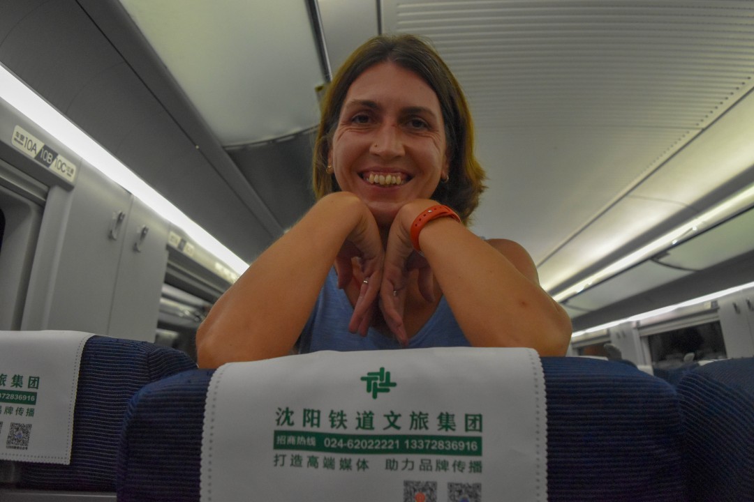 Train from Dalian North Railway Station (大连北站) to Shenyang North Railway Station (沈阳北站), Liaoning, China