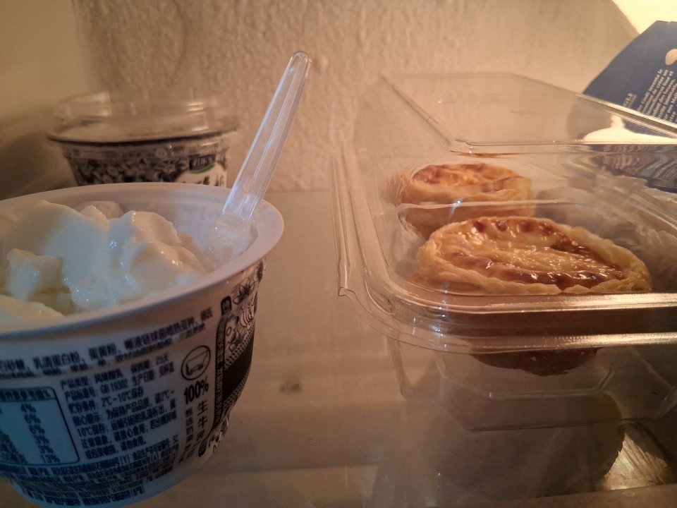 My Nanjing fridge, yogurt and egg tarts