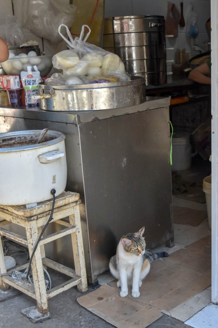 A local baozi stand near Guangdong Road (广东路) and Zhongshan Road (中山路), Nanjing
包子 (bāozi) — steamed buns with various fillings