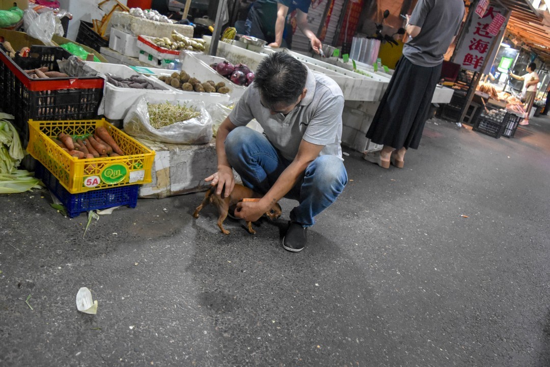 Around Renmin Road (人民路), Dalian, Liaoning, China