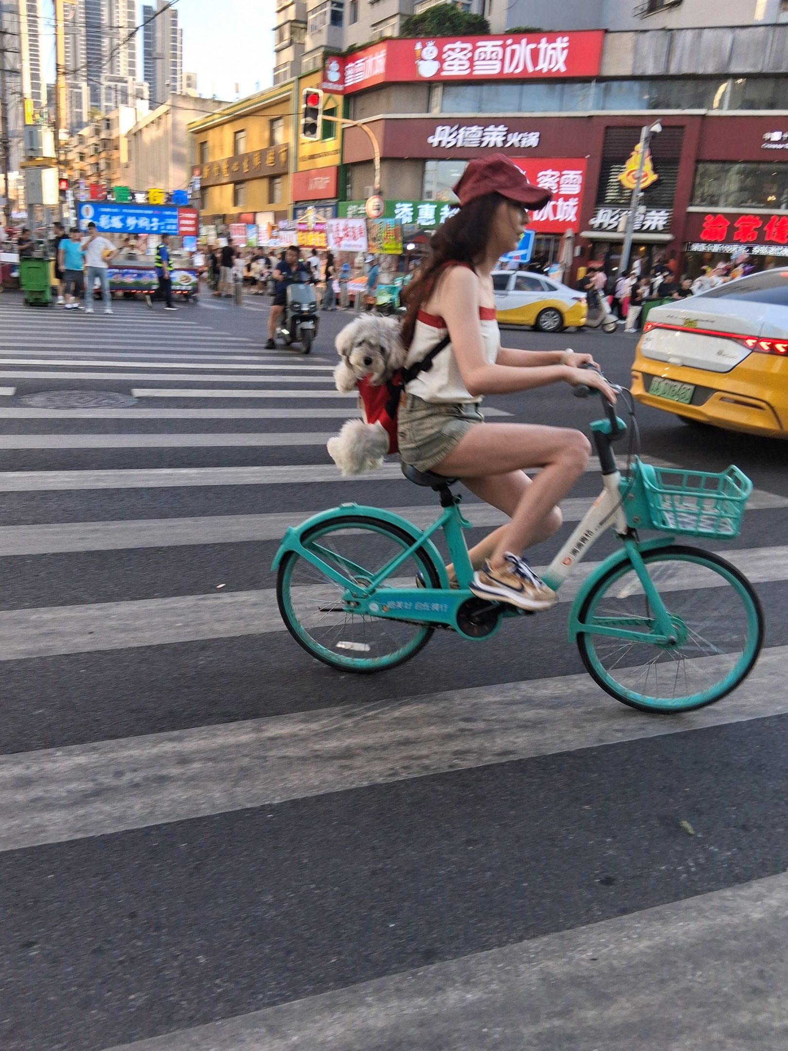  Shenhe District, Shenyang, Liaoning, China.