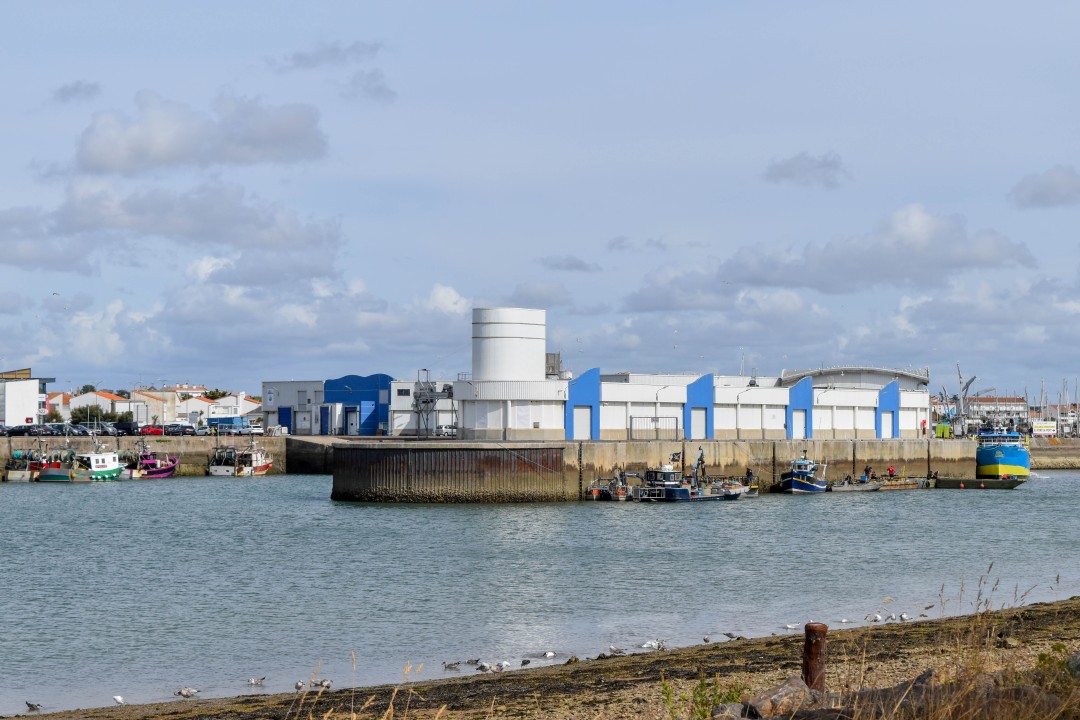 Port la Vie, Saint-Gilles-Croix-de-Vie, Vendée, France