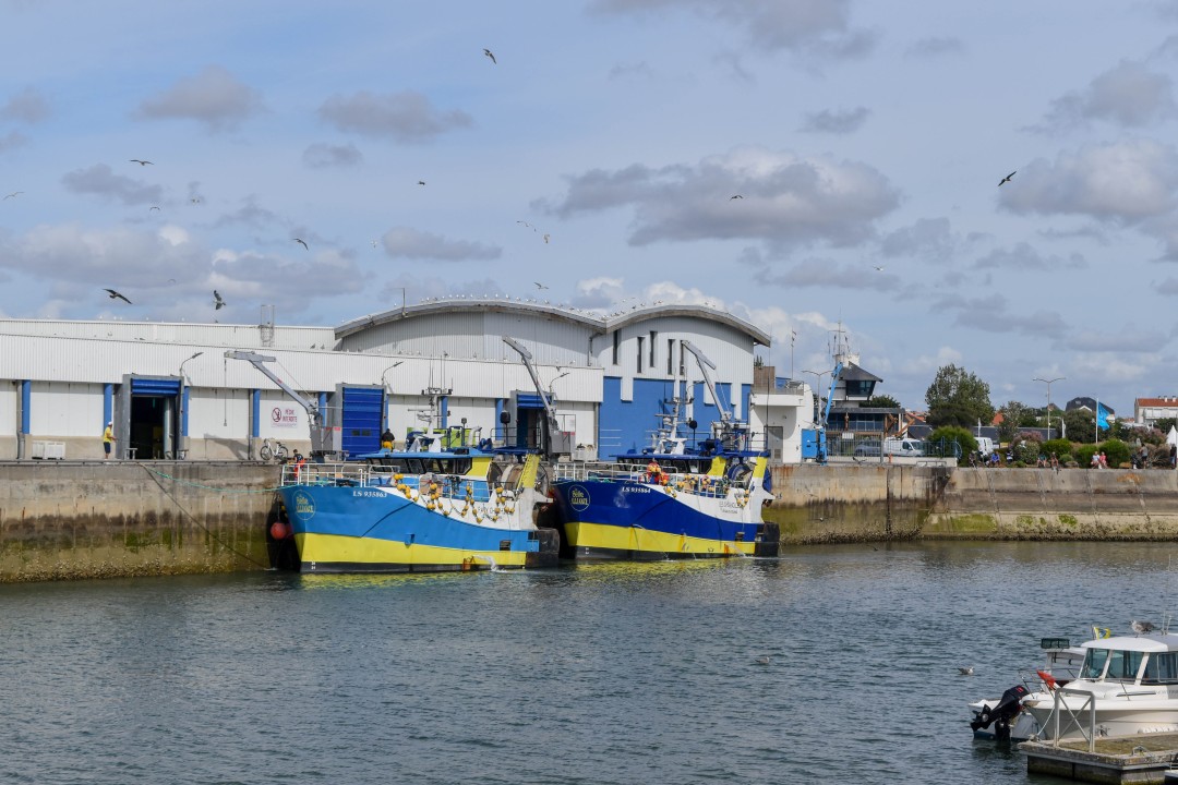 Port la Vie, Saint-Gilles-Croix-de-Vie, Vendée, France
