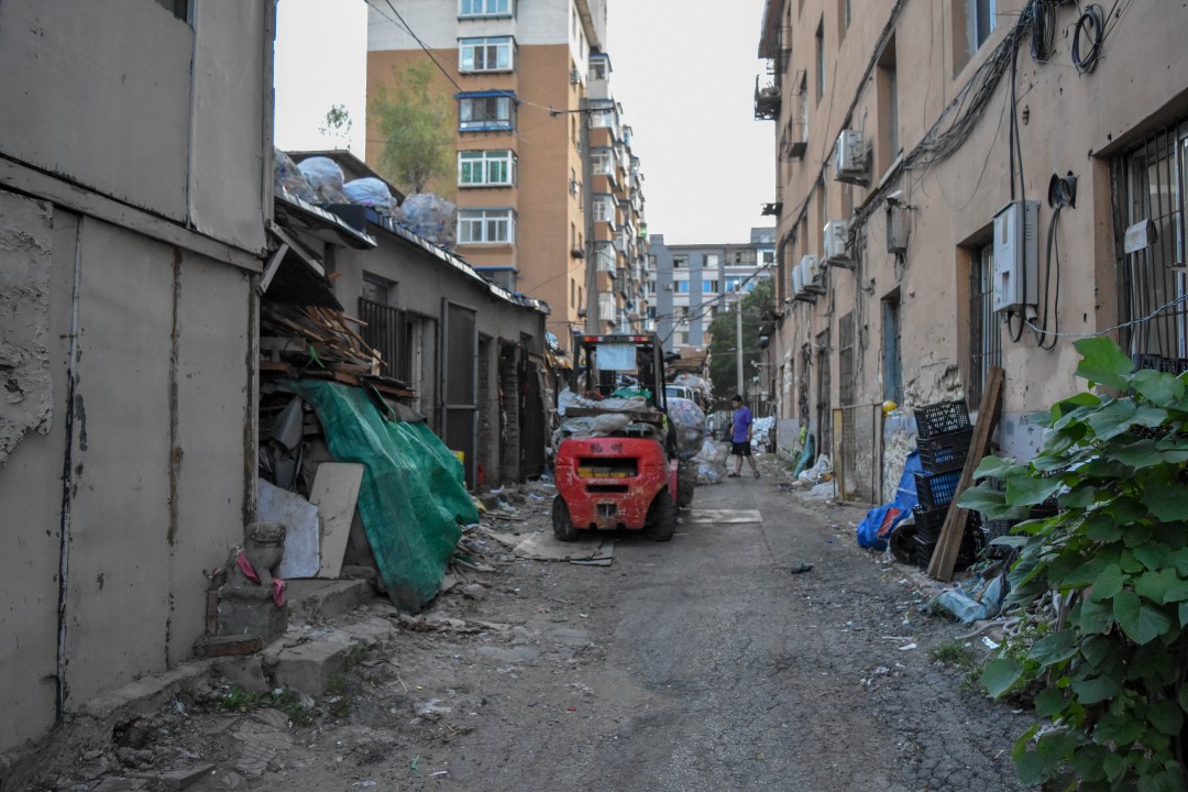 Around Youth Park (青年公园, Qīngnián Gōngyuán), 111 Qingnian Street (青年大街111号), Shenhe District, Shenyang, Liaoning, China.