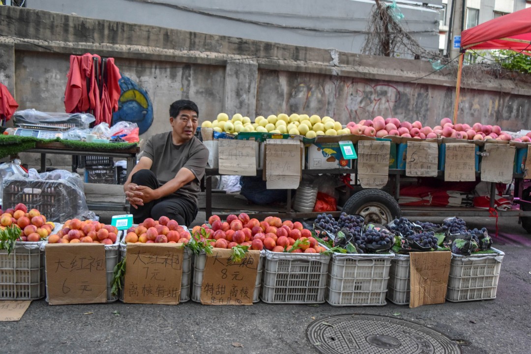 Daytime market on 南二经街 (Nán’èr Jīng Jiē), Shenhe District, Shenyang, Liaoning, China.