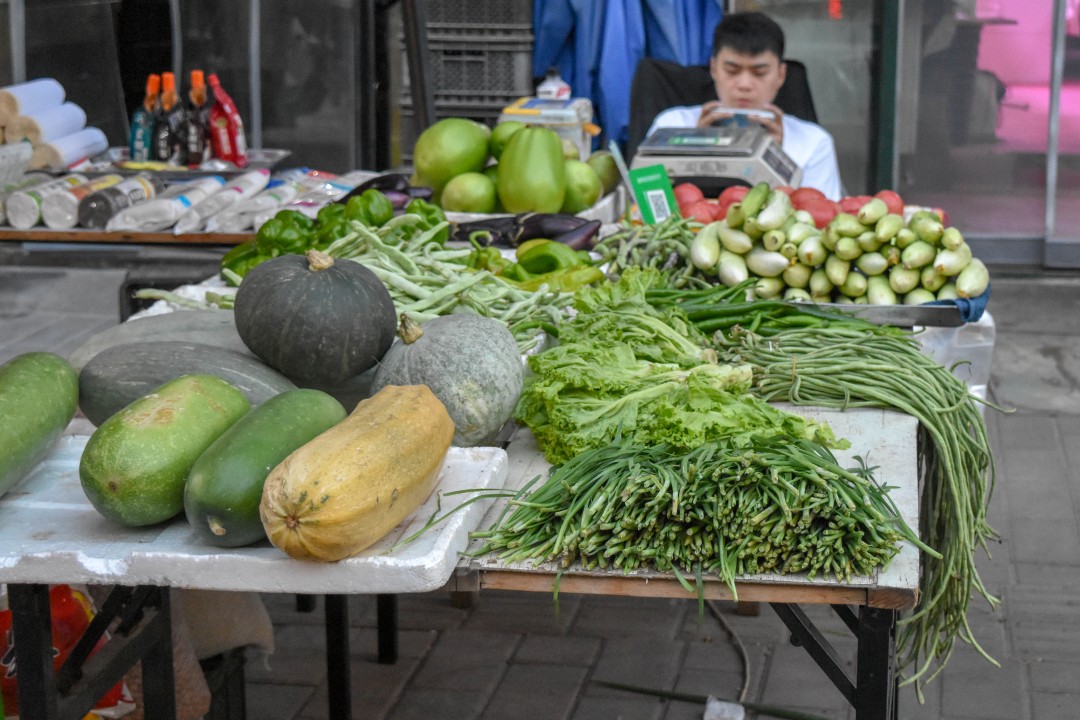 Daytime market on 南二经街 (Nán’èr Jīng Jiē), Shenhe District, Shenyang, Liaoning, China.