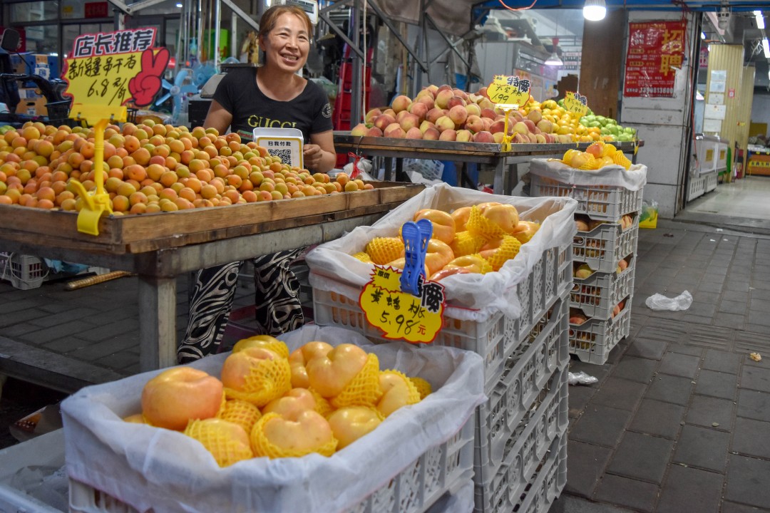 Daytime market on 南二经街 (Nán’èr Jīng Jiē), Shenhe District, Shenyang, Liaoning, China.