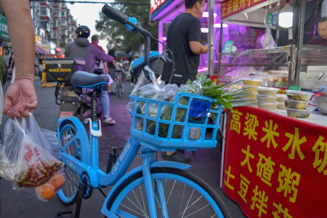 Daytime market on 南二经街 (Nán’èr Jīng Jiē), Shenhe District, Shenyang, Liaoning, China.