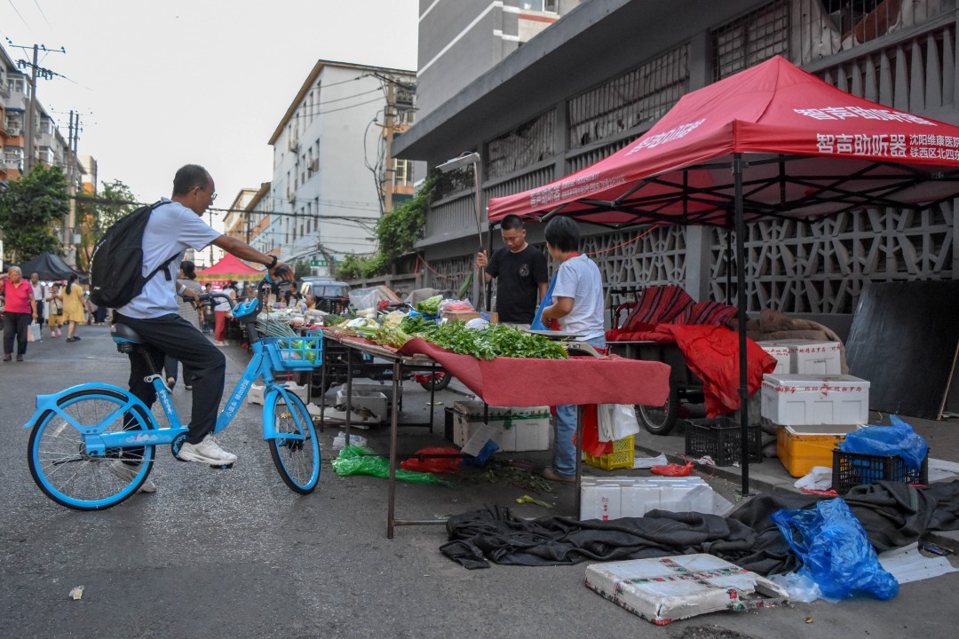 Daytime market on 南二经街 (Nán’èr Jīng Jiē), Shenhe District, Shenyang, Liaoning, China.