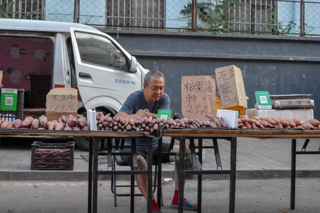 Daytime market on 南二经街 (Nán’èr Jīng Jiē), Shenhe District, Shenyang, Liaoning, China.