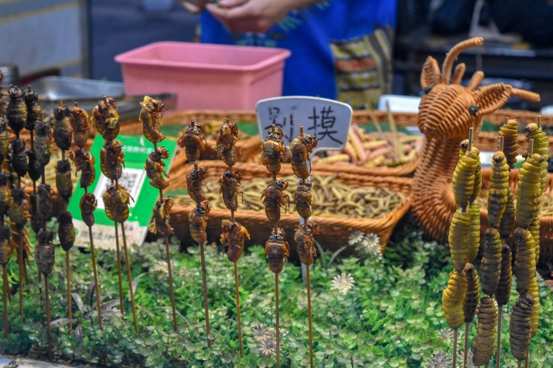 Night market on 南一经街 (Nányī Jīng Jiē), Shenhe District, Shenyang, Liaoning, China.