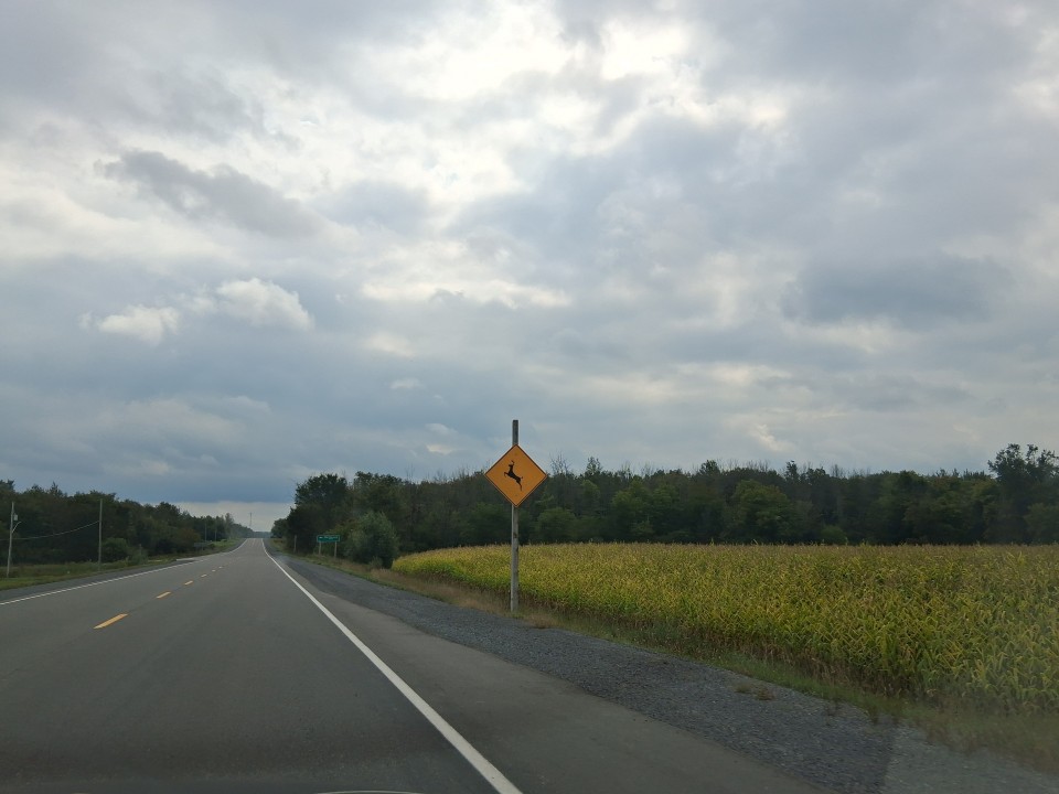 On the road from Ottawa to Cornwall — Sept. 13, 2026, Ontario, Canada