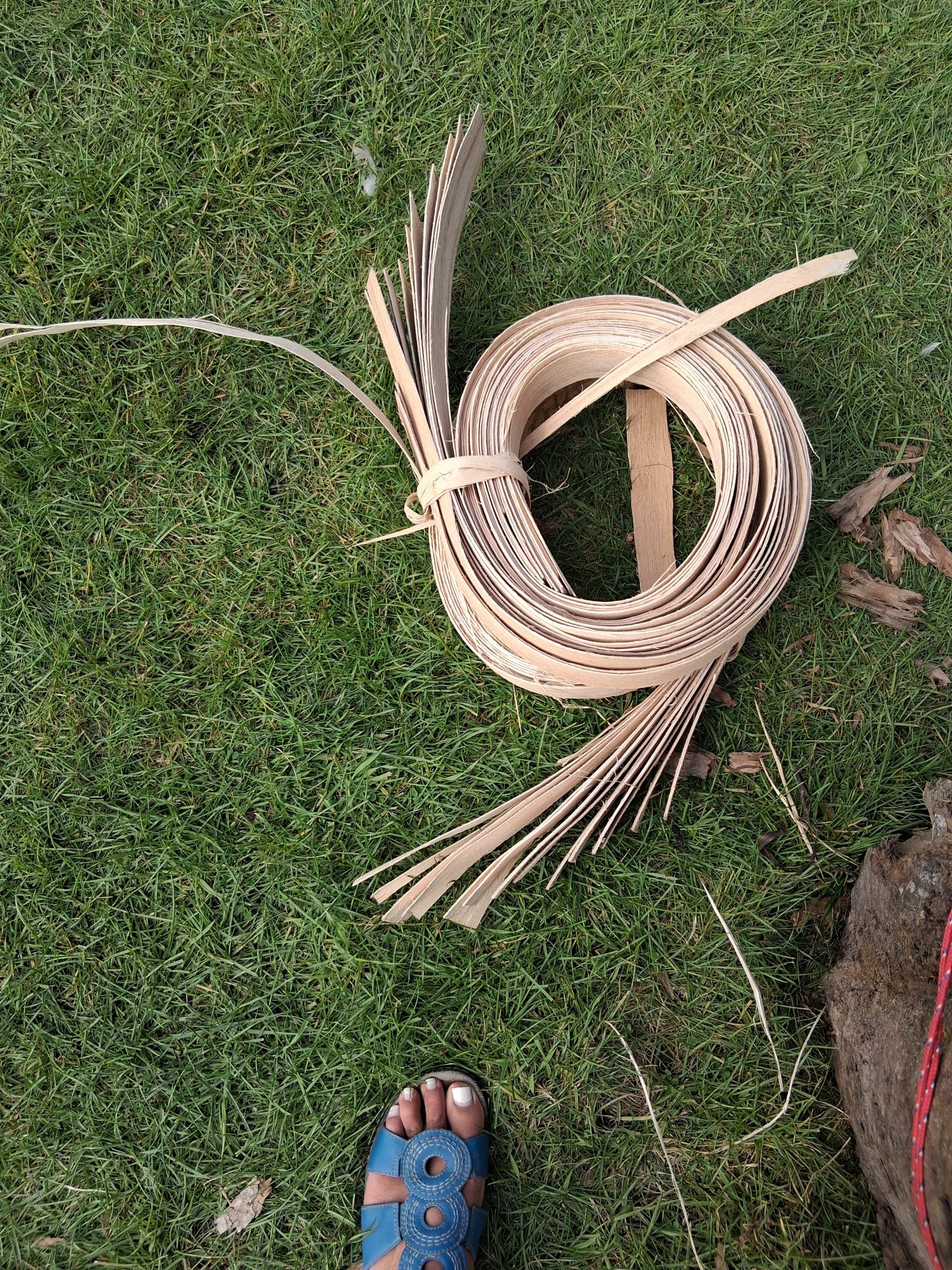 Peeled wood strips for sale at the Akwesasne International Powwow — Sept. 13, 2026, Lamoureux Park, Cornwall, Ontario, Canada