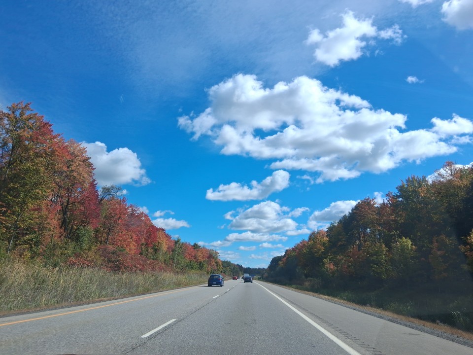 Fall colours along Highway 417 on the way to Montreal — Oct. 3, 2026, Ontario, Canada
