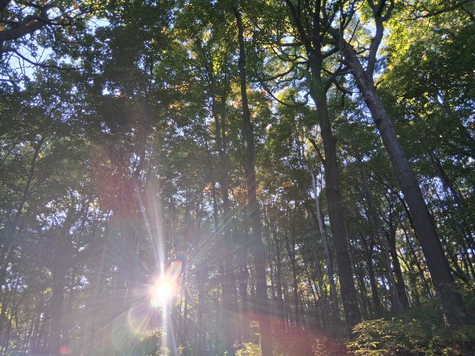 Early fall colours along the Olmsted Path on Mount Royal — Oct. 3, 2026, Montreal, Quebec, Canada